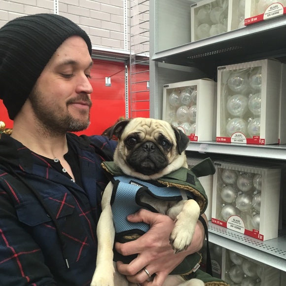 Meet your Posher, Joshua - Picture 2 of 3